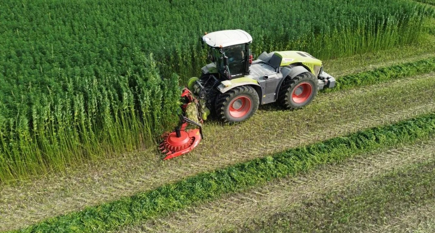 Traktor på en grøn mark